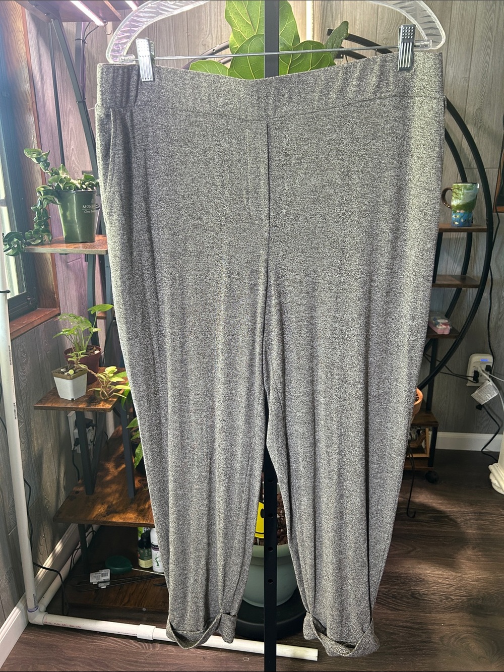 New J. Jill Pants